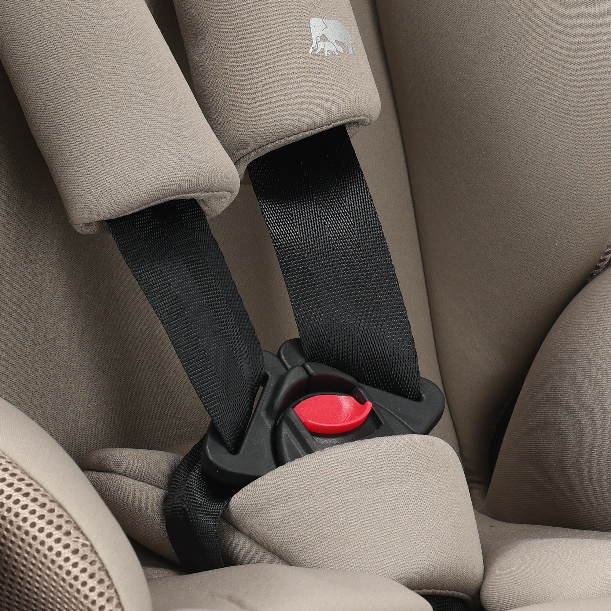 Carter Basic i-Size Autostoel 76-150 cm - 9-36 kg - Nougat