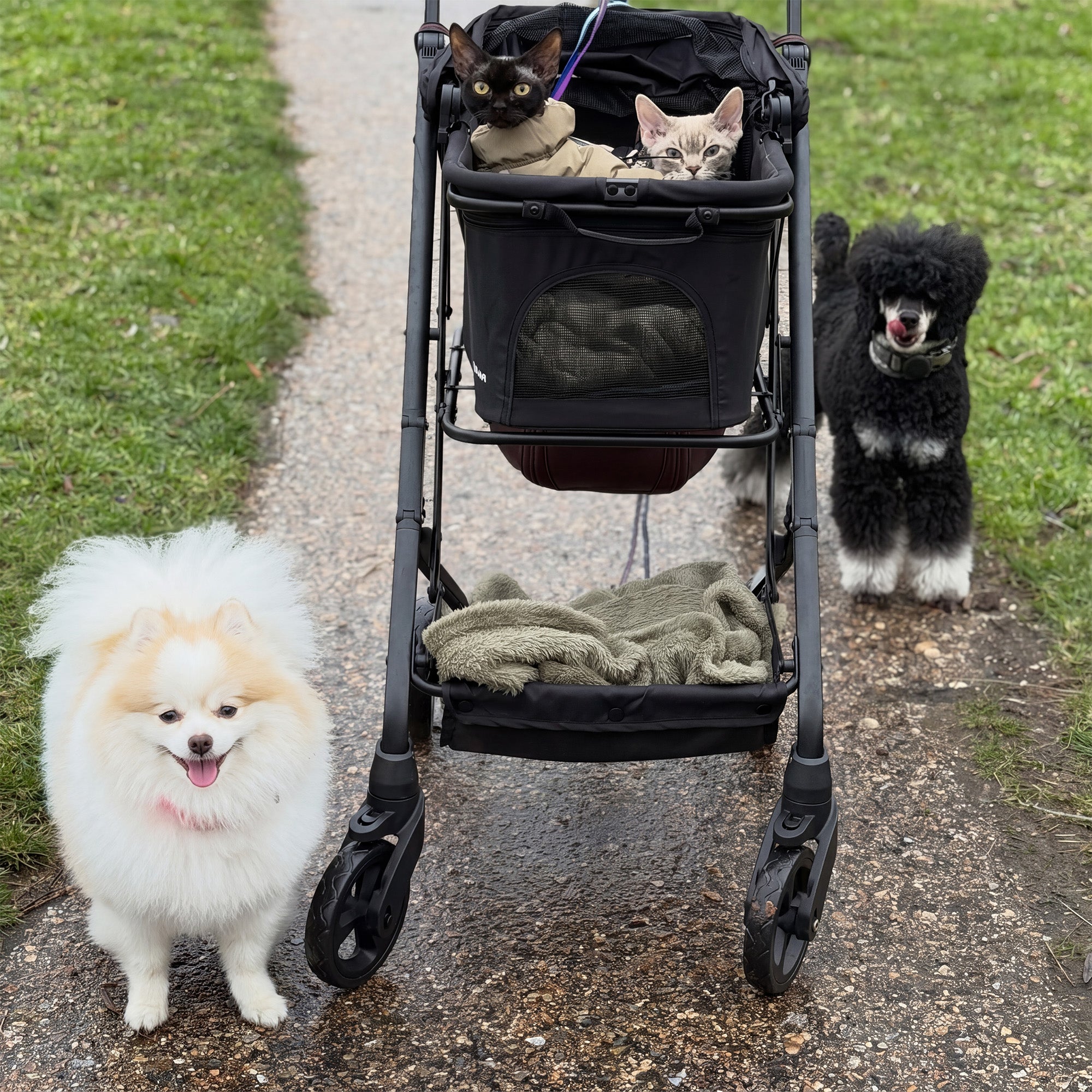 Deryan Luxe Inklapbare Hondenbuggy - Huisdieren wandelwagen - Zwart