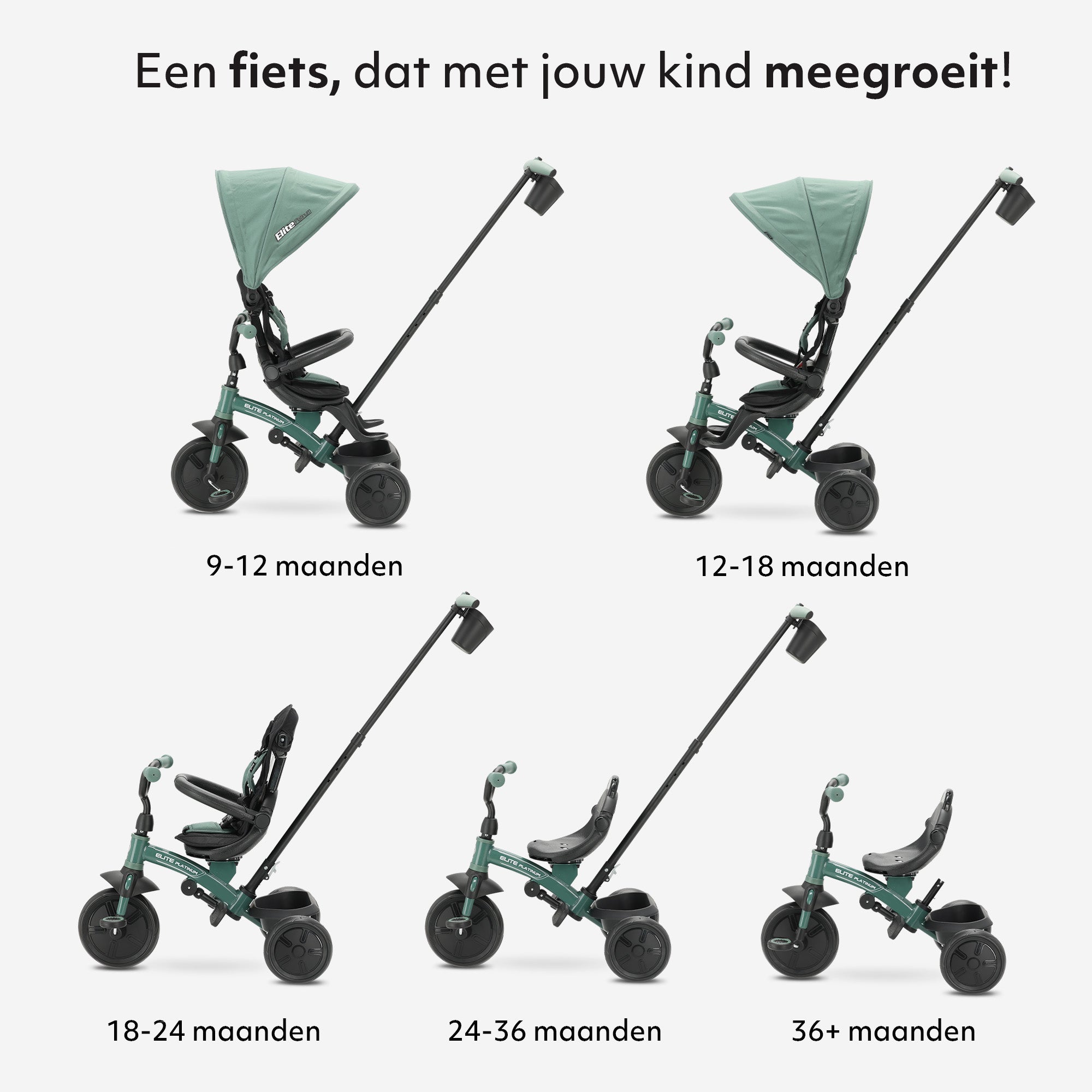 Qplay luxe Driewieler met duwstang - Groen