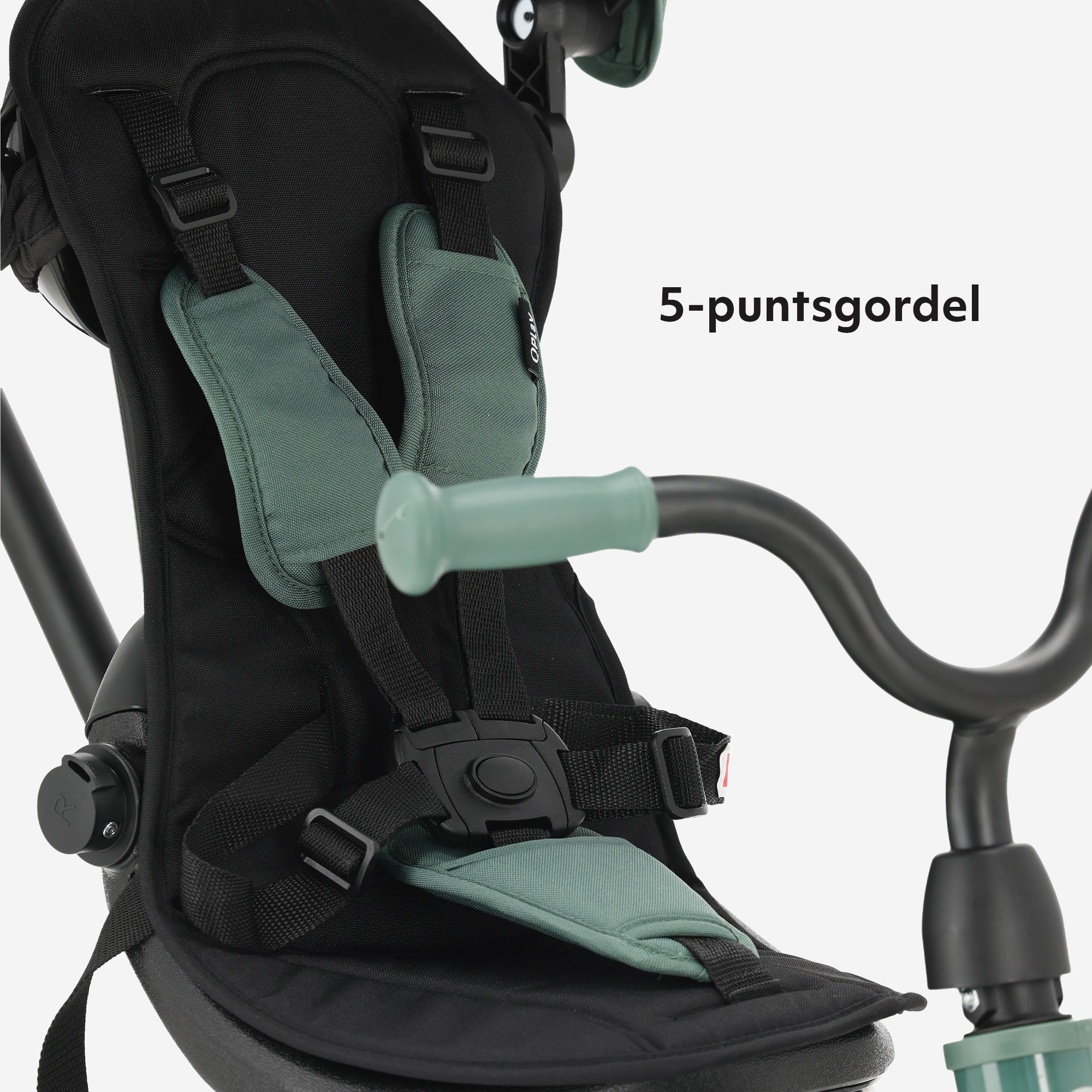 Qplay luxe Driewieler met duwstang - Groen