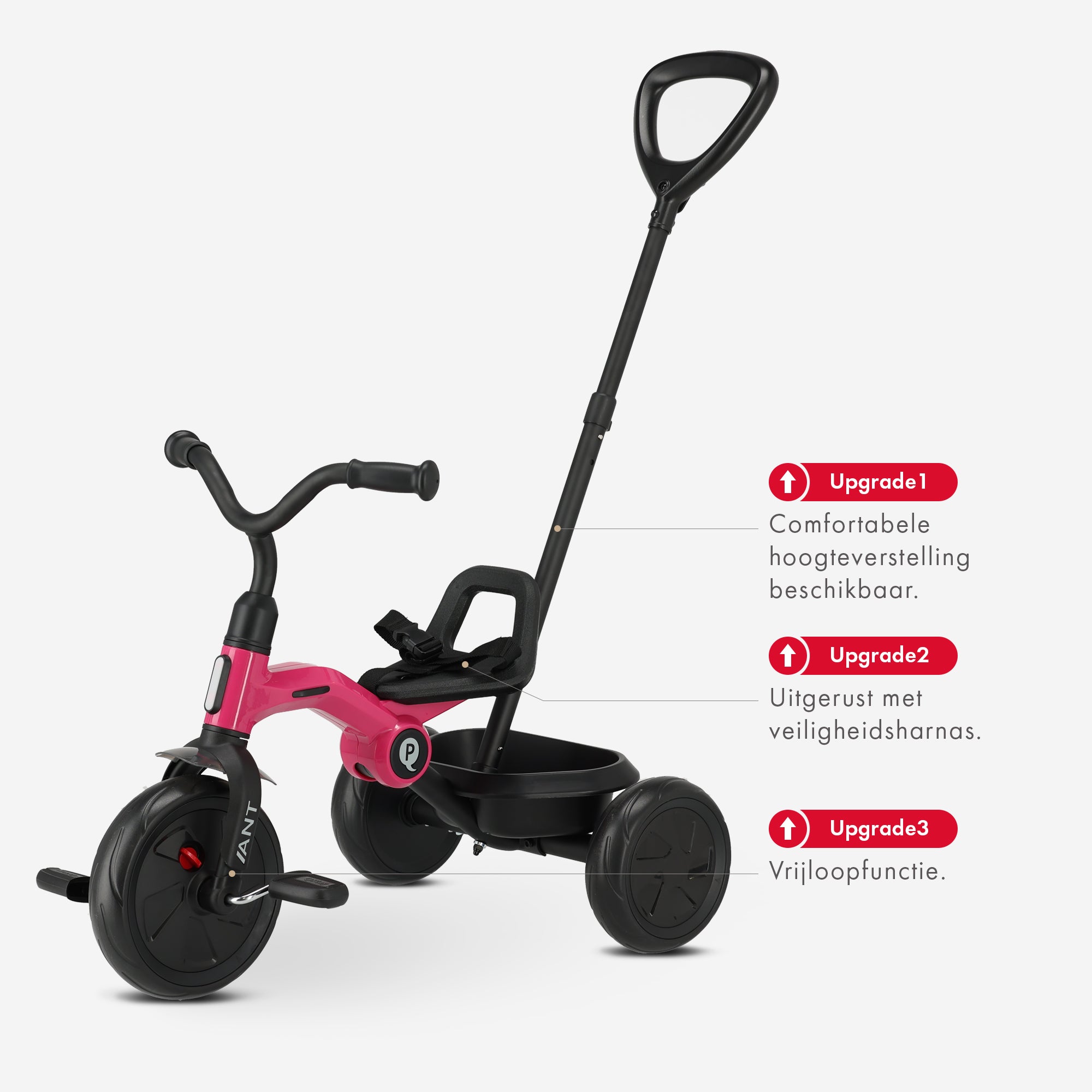 Qplay Ant Tricycle with push bar - Pink