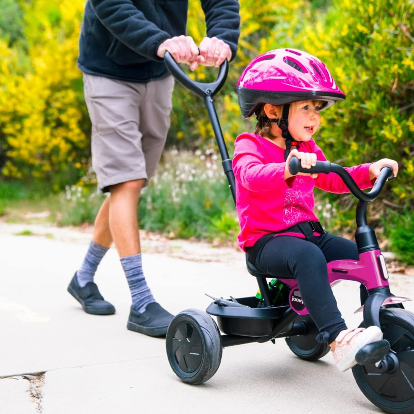 Qplay Ant Tricycle with push bar - Pink